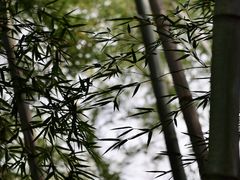 -三国赤壁古战场