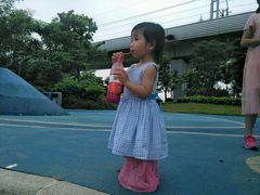 -宝安西湾红树林湿地公园