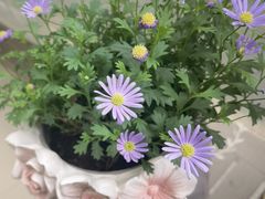 -海玥荟海鲜姿造自助餐厅(欧罗巴广场店)