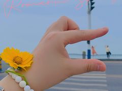 -合肥滨湖国家森林公园