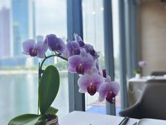 -珈境湖畔餐厅·湖北菜·江浙菜•樱花季(西北湖店)