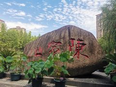 -陈家山荷花公园