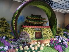 -杭州植物园