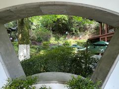 -十八棵（老龙井）御茶园(老龙井店)