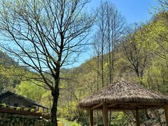 -苍龙峡风景区