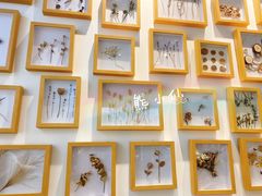 -植物学家的女儿(北马道巷店)