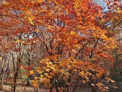 -本溪老边沟风景区