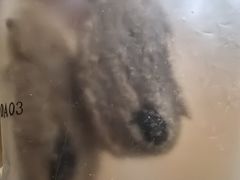 -墨茉点心局(梅溪湖新天地一店)