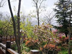 -崂山仰口游览区
