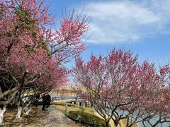 -白塘生态植物园