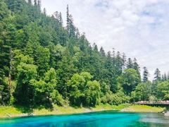 -黔灵山公园