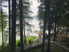 -东湖落雁景区