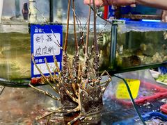 -友强·23年特色海鲜大排档(厦门店)