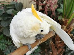 -南宫五洲植物乐园