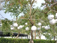 -重庆中央公园(渝北区)