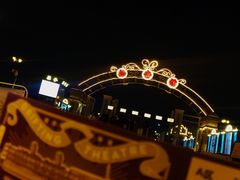 -武汉知音号