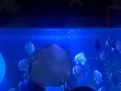 -台州海洋世界