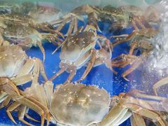 -阳澄湖大闸蟹·琼灵阁牌品牌连锁(吴中总店)