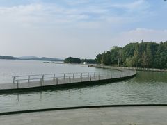 -水上明月·湖景餐厅