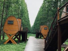 -黄海国家森林公园