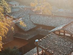 -杨家堂村