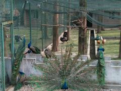 -南京金牛湖风景区