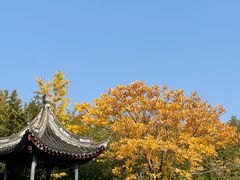 -南翔古镇