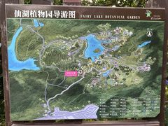 -深圳仙湖植物园