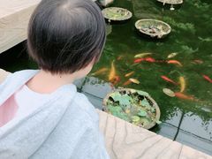 -万源龙顺度假庄园生态观光园