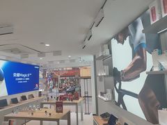 -荣耀授权专卖店(黄浦浙江中路店)