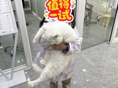 -爱洗澡的猫(天河路店)