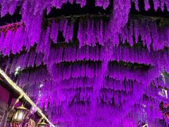 -婺源梦里老家大型山水实景演出