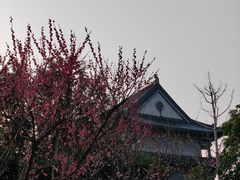 -葛仙湖公园