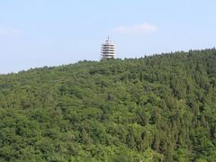 -原山国家森林公园