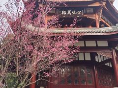 -成都杜甫草堂博物馆