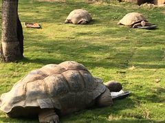 -中国移动(望京营业厅)