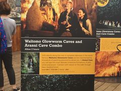 -怀托摩萤火虫洞