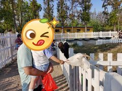 -前小桔亲子创意农场·草莓采摘·露营烧烤