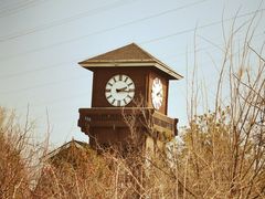 -永定河休闲森林公园