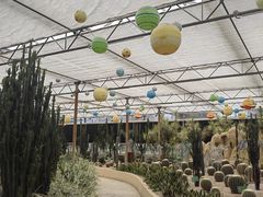 -南宫五洲植物乐园