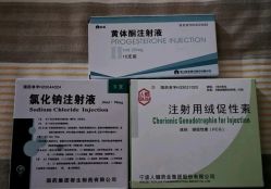 -玛丽亚妇产医院