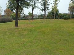 -枫香湖儿童公园