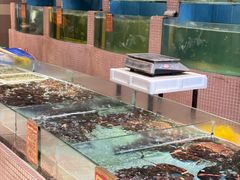 -团圆食府(新东路店)