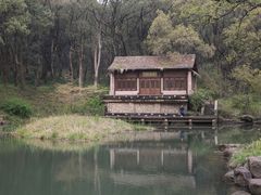 -杭州植物园