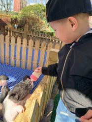 -萌宠亲子动物乐园(槐房万达店)