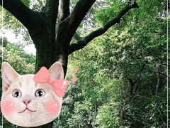 -广州市白云山风景名胜区