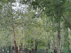 -秦皇岛野生动物园