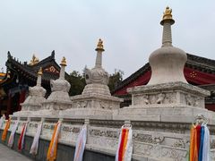 -西安市广仁寺