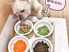 营养餐-Double Rui宠物酒店