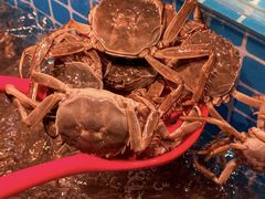 -焰江山海鲜牛排烤肉自助(锦华万达二星店)